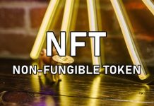 NFT non fungible token não fungivel