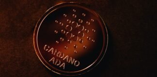 o que é cardano