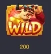 símbolo wild