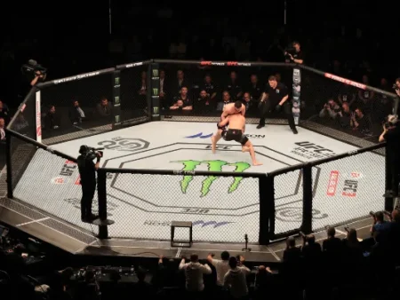 Como Apostar no UFC: Guia Completo para Iniciantes