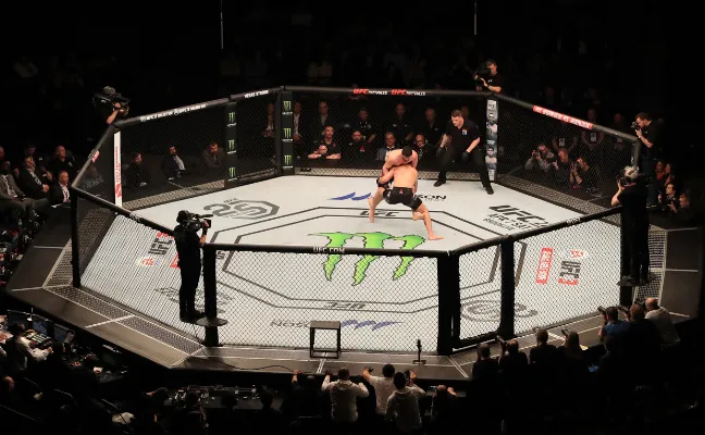 Como apostar no UFC