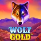 Wolf Gold: Como Jogar, Recursos e Onde Apostar
