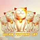 Slot Lucky Fortune Cat: Como Jogar, Estratégias e Onde Apostar