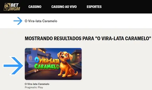 Localize o Jogo no Cassino